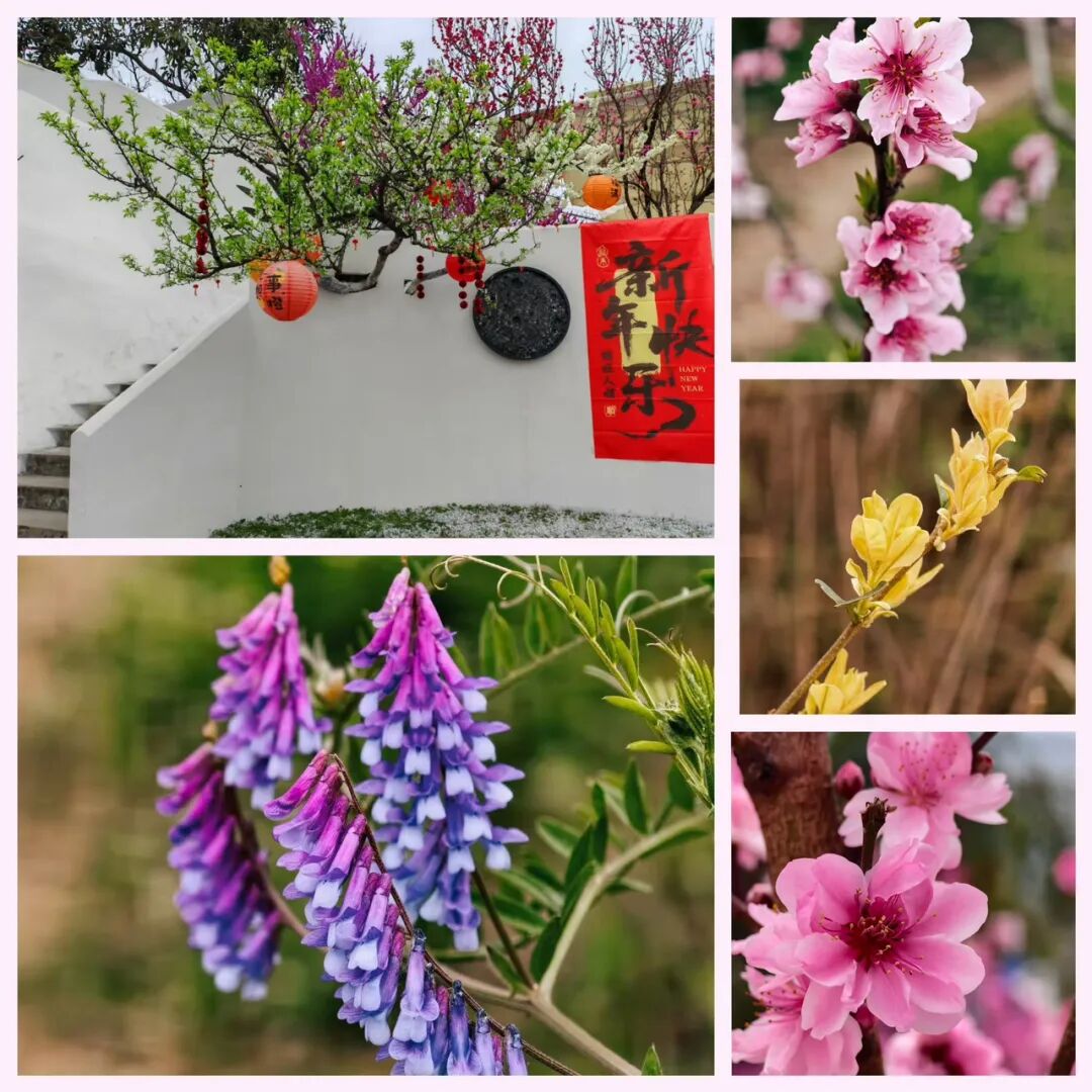 0aac82635133fc1ea668c32162c62cc0.jpg 0aac82635133fc1ea668c32162c62cc0.jpg